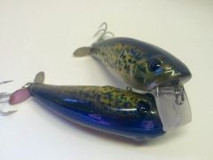 Holographic Foiled Black Crappie