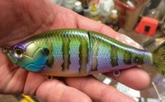 Bluegill Swimbait