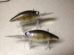 Walleye Pattern