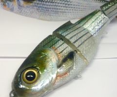 Custom Bull Shad