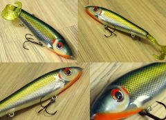 Jerkbait for pike and musky