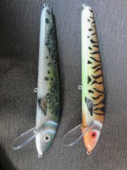 sauger and fire tiger muskie baits