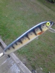 handmade wood muskie/bass bait yellow perch