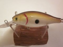 Tennessee shad