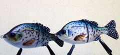 6" breams/gills in crappie pattern