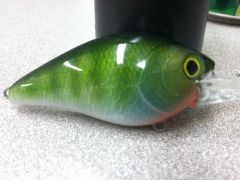 Bluegill pattern