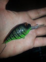 mossback craw