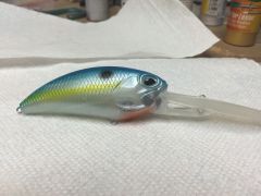 D87 ghost shad
