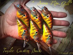 "Brown Mountain Gill" color