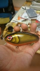 Golden shiner trä