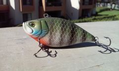 Bluegill Color on the lipless Crankbait