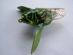 TIMBER CICADA