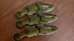 Murray cod baits