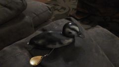 Twin spin baby duck lure