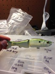 alpha bait in green shad color