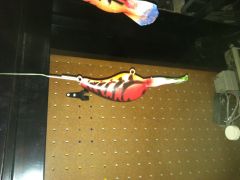 10xd in spring craw pattern