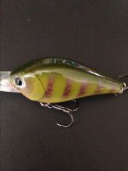 Bluegill pattern