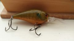 transparent bluegill