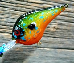 Bluegill Pattern