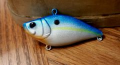 Lipless shad