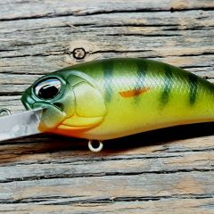 Duo realis clone in perch