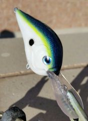 Neon Shad.