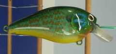 pumpkinseed