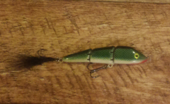 First swimbait