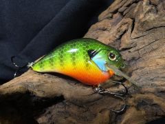 Blue Gill on a Megabass S-Crank