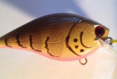 TPCB Sand Craw