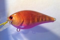 TPCB RipRap Craw