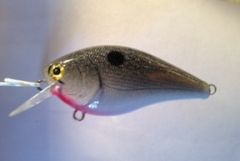 TPCB Silver Shad