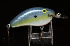 sexy shad