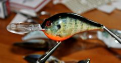 Rapala Photo Finish in Bluegill