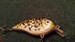 3d scale crankbait