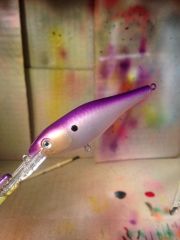 purple shad