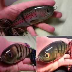 Boarbaits Veiltail