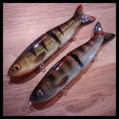 Boarbaits Hubi19