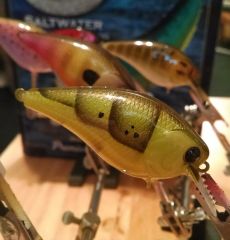 green and yellow craw