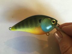 2.5 Blue Gill with epoxy