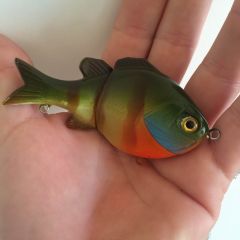 Blue Gill Jointed Bait