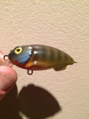 Cyclone Blue Gill