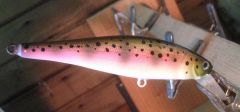 Juvenile Rainbow Trout