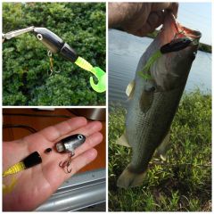 Prototype soft tail vibrating topwater lure