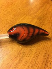 Orange craw with black belly and back