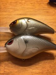 Shad patterns