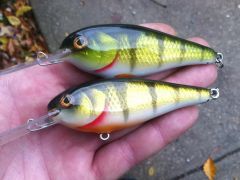 cedar perch7