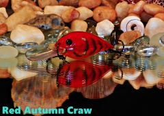 Red Autumn Craw