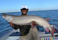 another bucktail fish