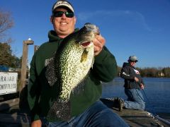 3.1 lb Crappie